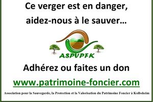 Cet automne des panneaux vont fleurir....