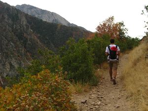 Der Pipeline Trail im Millcreek Canyon