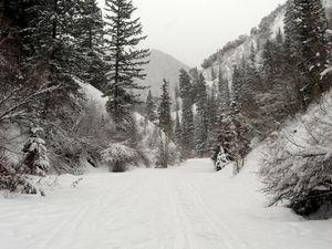Ohnmächtige Schauer körnigen Eises? Der Winter ist zurück!