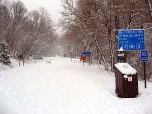 Ohnmächtige Schauer körnigen Eises? Der Winter ist zurück!