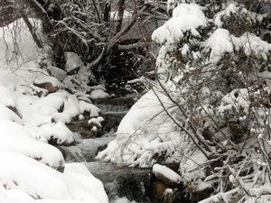 Ohnmächtige Schauer körnigen Eises? Der Winter ist zurück!