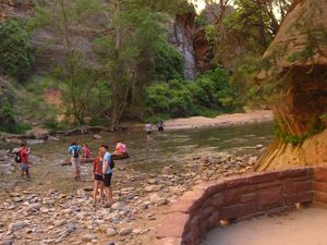 Grüße aus Südutah IV: Zion National Park