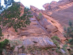 Grüße aus Südutah IV: Zion National Park