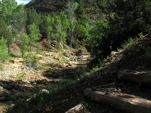 Grüße aus Südutah V: Zion National Park