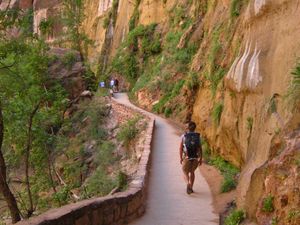 Grüße aus Südutah IV: Zion National Park