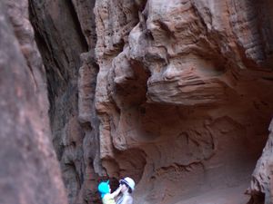 Grüße aus Südutah IV: Zion National Park