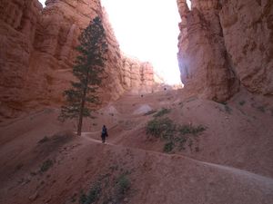 Grüße aus Südutah I: Bryce National Park