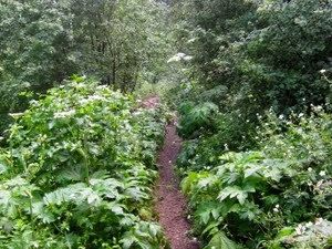 Der Weg zum Adlerhorst, Quelle: http://blog.twoknobbytires.com/2011/08/03/mt-aire/