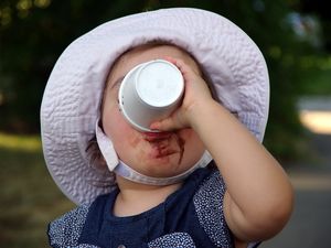 Jedem das Seine: Kaffeesine, Adlerhorst und Shogogo