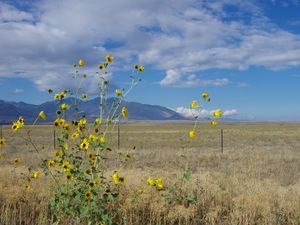 Wandern, Rollern und Sackhüpfen