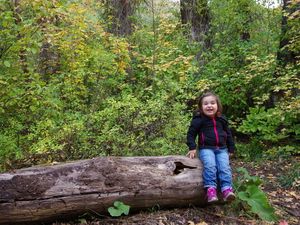 Auf H: Parents' Night Out &amp; andere Aufstiege