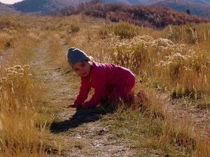 15K Timp Trail &amp; 15K Armstrong Trail