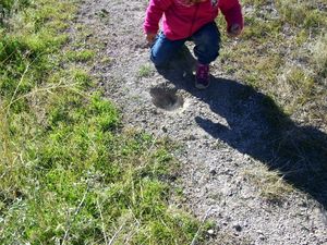 Indianer und Tote Pferde pfeifen auf den Staat