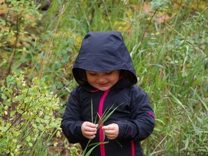 Auf H: Parents' Night Out &amp; andere Aufstiege