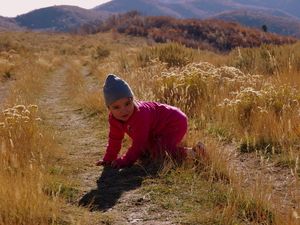 15K Timp Trail &amp; 15K Armstrong Trail