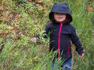 Auf H: Parents' Night Out &amp; andere Aufstiege