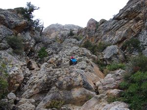 Tag der Deutschen Einheit auf dem Mount Olympus