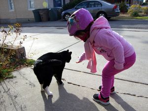 Saturday Morning Fever: Shake it, Baby!