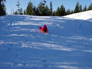 Skilaufen in &quot;Lellowstone&quot;
