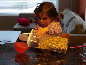 Karla und die Cheerios: Das Äffchen-Experiment am Menschen wiederholt.