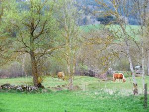 site de rencontre pour ceux qui aiment les animaux
