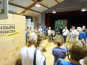 L'exposition [En]quête d'insectes à Saint-Antonin-Noble-Val (82)