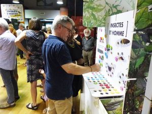 L'exposition [En]quête d'insectes à la MJC d'Onet-Le-Château (12) 
