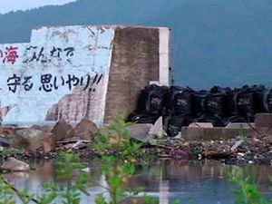 Fukushima l'Empire rayonnant