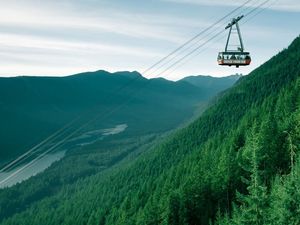 Barn Swallow et le GOndola