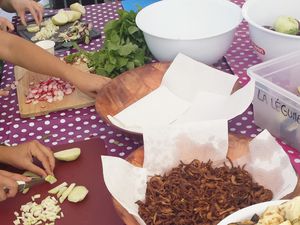 Moutabal, salade fattoush et mejadra
