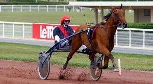 Lundi 26 AoÃ»t  2019 Vincennes  -  C 1 QuintÃ© 