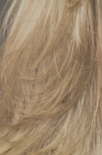Tombent les cheveux que faire lhomme les moyens nationaux