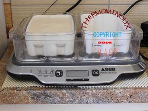 LES CALINS A LA MULTIDELICE (thermomix) Blog cuisine