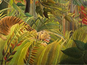 rencontre lion et tigre