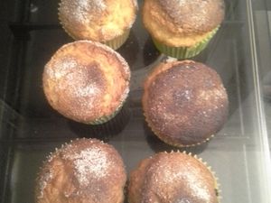 Magdaléna " madeleines espagnole" (thermomix)