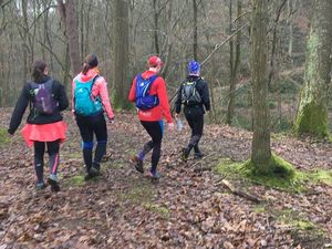 Un début de course au petit trot ! Entre vertes et bleues...