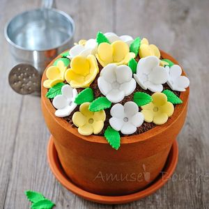 Gâteau pot de fleur