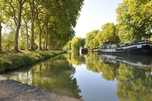 Sauver le Canal du Midi : appel aux dons et concours photo