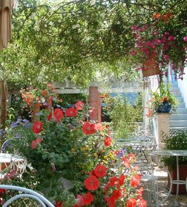 Le top des terrasses de la ville rose !