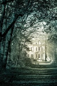 Chapitre 10 - La maison de Bigby