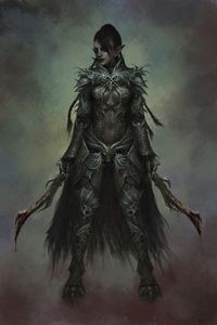 Chapitre 7 - Elfe ? pourquoi pas ?