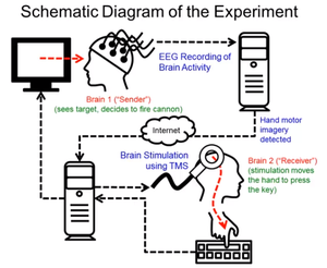 Scientist controls colleague's hand in first human brain-to-brain interface