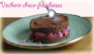 Vacherin facile choco – framboise