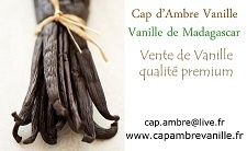 Cuillères au chocolat, sphère de panna cotta à la vanille et voile de melon épicé