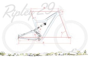 Ibis déploie les ailes de son 29er