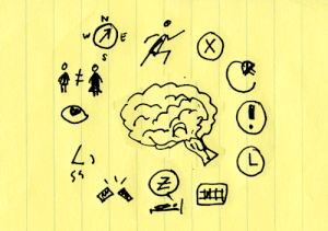Les douzes lois du cerveau et coaching roliste