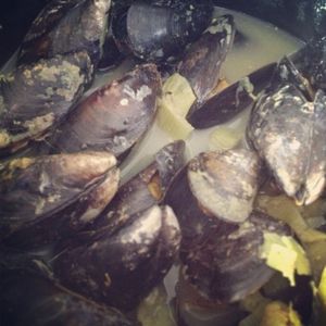 Poissons / fruits de mer (65)
