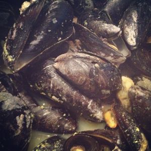 Poissons / fruits de mer (65)