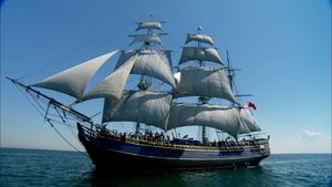 Privateer's bounty — critique