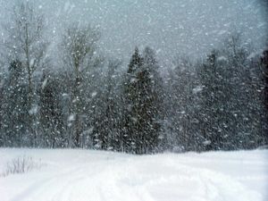 Winter Break
